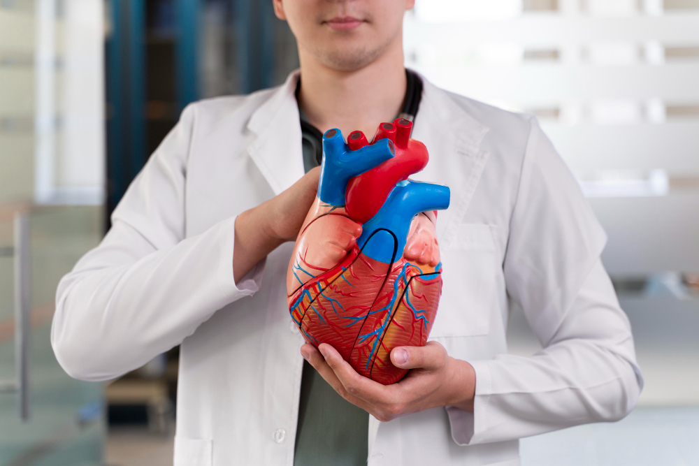 EKG (Cardiogram) image